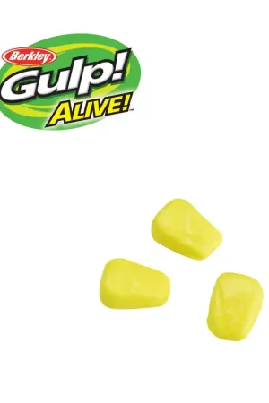 Authentique MAÏS FLOTTANT GULP ALIVE
