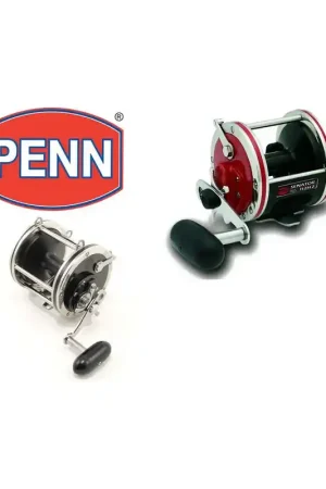 Must-Have MOULINET PENN SENATOR 115 L 2