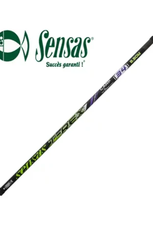 Achetez Aujourd’hui PACK CANNE SENSAS T-REX CARP 34 11M00