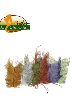 AUTRUCHE ZEBREE JMC DE CHARETTE Certifié