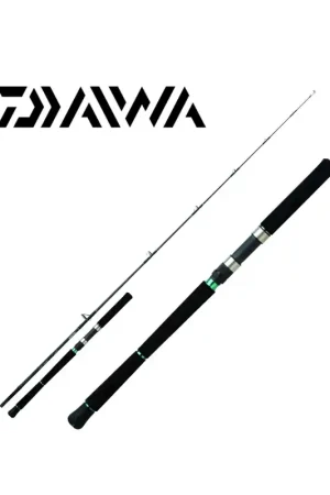 CANNE MER DAIWA SALTIST HBF Soldes
