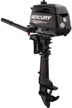Affaire À Saisir Moteur thermique Mercury 6 CV
