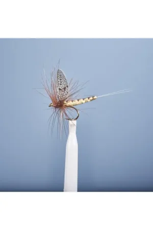 Achat Immédiat Mouche Sèche JMC Mai 100 H10