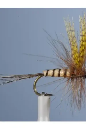 Satisfait Ou Remboursé Mouche Sèche JMC Mai 36 H14