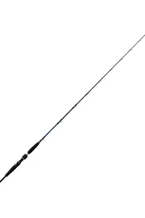 Acheter Direct Canne à pêche Daïwa Saltiga Deep 55