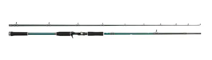 Abu Garcia BEAST X Pike 2,54m 50-220g Cast 2cz. Achetez Aujourd’hui
