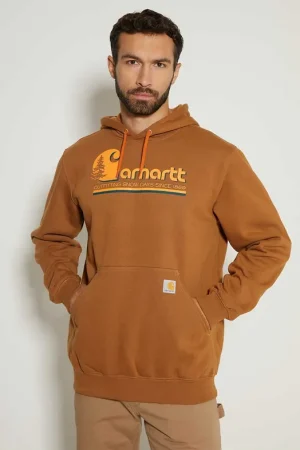 Carhartt Graphic Hooded Sweatshirt M Prix Réduit