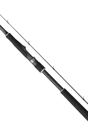 Graphiteleader 24 ARGENTO UX 2.82m 7-28g 2cz S Réduction