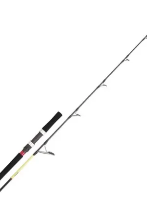 Achat Immédiat Canne Spinning Daiwa Grandwave Jigging