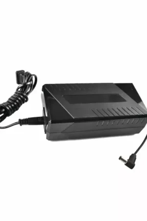 Vente Flash Chargeur 220v pour moteur haswing ultima