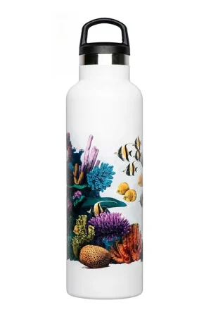 BOUTEILLE THERMIQUE CORAUX Livraison Gratuite