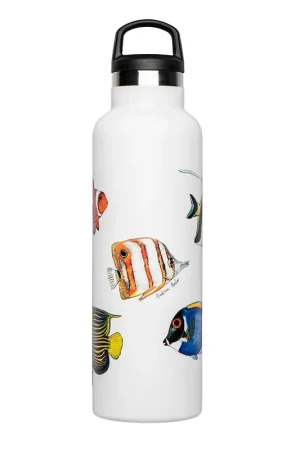 BOUTEILLE THERMIQUE REEF FISH Populaire