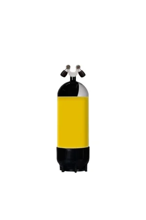 BOUTIELLE ACIER COMPLETE 18 L 220 Bar 2 SORTIES V Dernière Chance