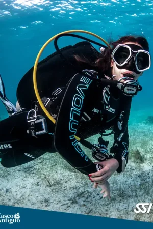 Bon Plan COURS OPEN WATER PRESENCIAL