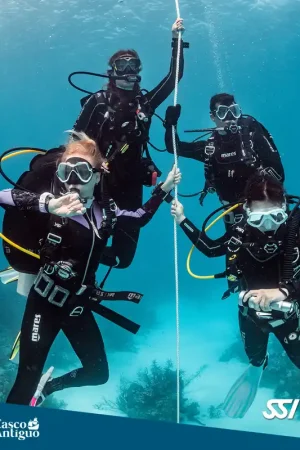 COURS ADVANCED OPEN WATER ON LINE Bon Marché