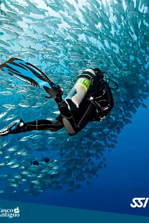 Commander Maintenant BUNDLE OPEN WATER DIVER + EANx (NITROX)